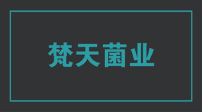 食品行业固原冲锋衣设计款式